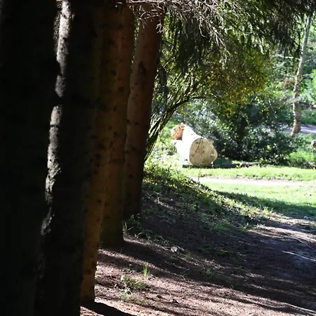 Kamp alanı Napfeny Taliandorogd