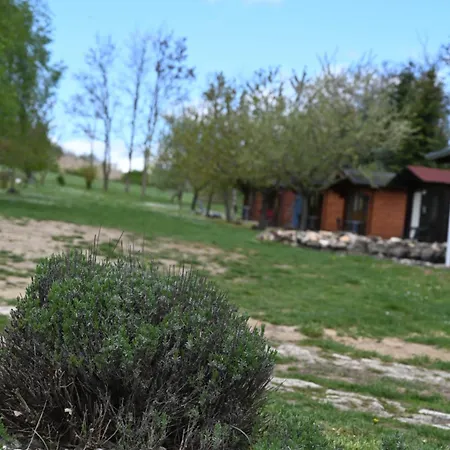 Napfeny Kamp alanı *