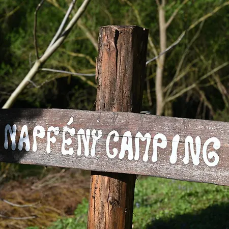 Napfeny * Taliandorogd