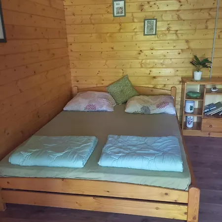 Napfeny Taliandorogd