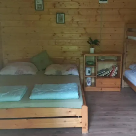 Napfeny * Taliandorogd