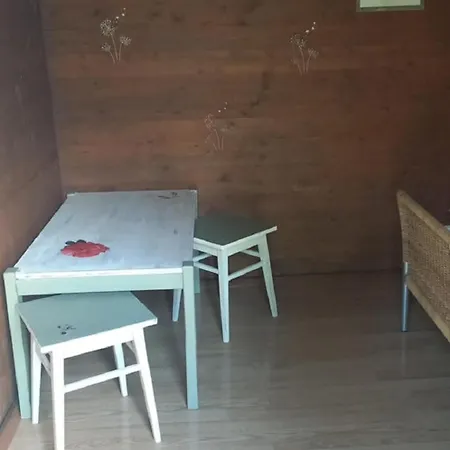 Napfeny * Taliandorogd